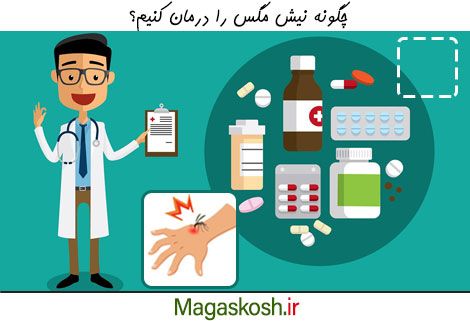 چگونه نیش مگس را درمان کنیم؟