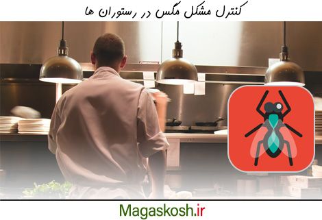راهکارهای کنترل مگس در رستوران